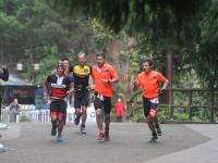 MK体育-Rookie连续七场比赛得分超过赛事规则更新，法国队挑战极限！的简单介绍