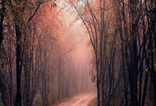 MK体育-清晨新疆广汇更衣室发声：足总杯节点到来；话题不断；身体对抗强度拉满(主持人发表不当言论被暂停工作)